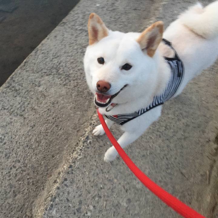 Ae8a75f2 e1f9 416f 859f 4a38edcbd333