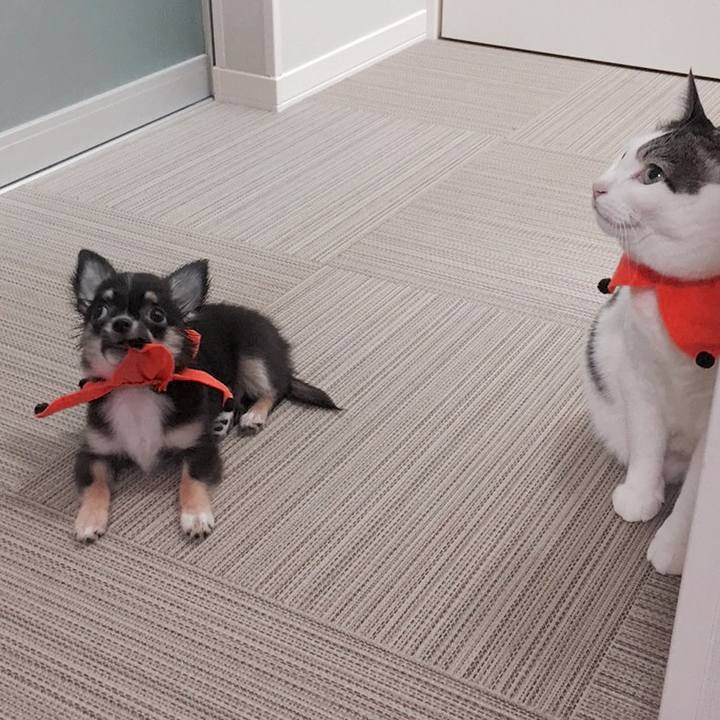 Ae8b9af6 6de0 4a06 bcfc 460bbe65af9b