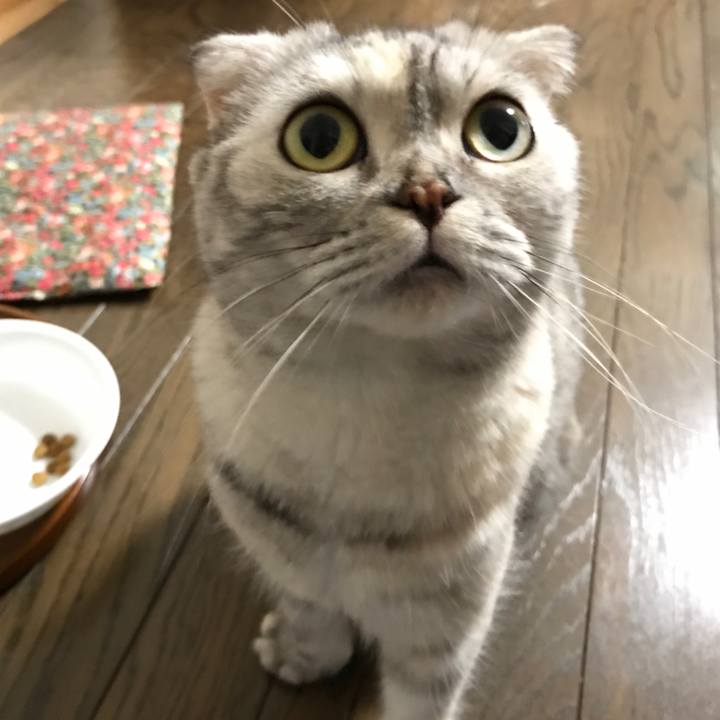 Ae8bd80e 49d0 43ed ad90 108dd38015ea