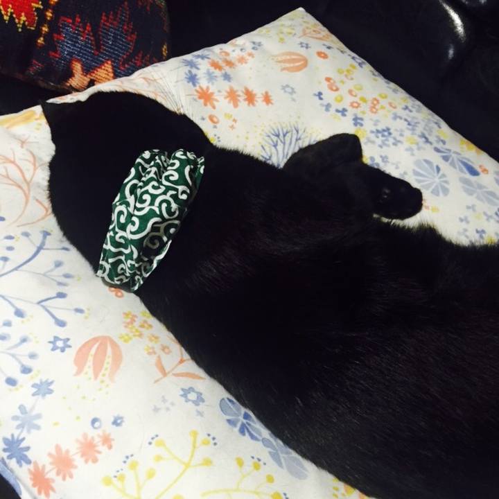 Ae8c21dd b3a9 4012 95c8 d93aa21733de