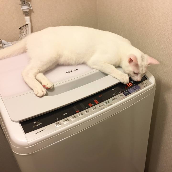 Ae8d5104 2d75 4a02 9f9e fa95543c0680