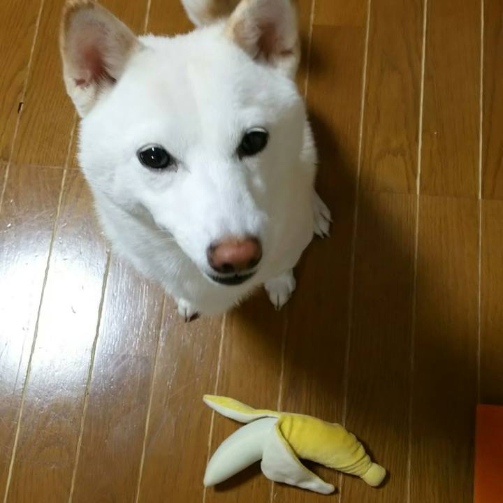 Ae8deff5 06b3 47cf 8863 06919f5a633f