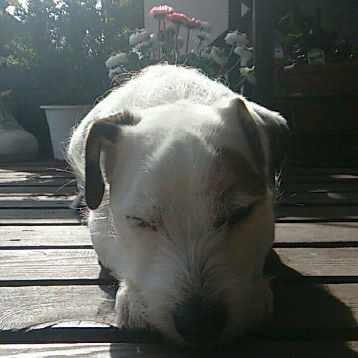 Ae8dfdee 3f6d 480c ac49 8ae1df4defe3