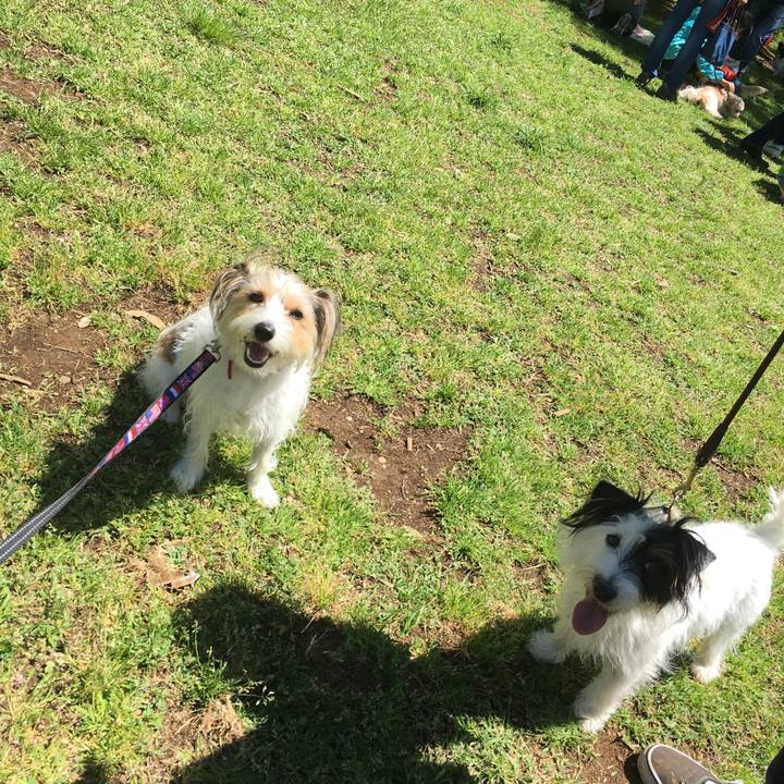 Ae8e6aae 7073 4feb 849d d7e822fa69b5