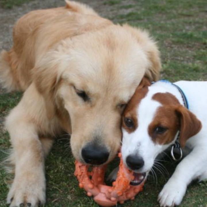 Ae8eb65b aaae 48c6 bfd1 0be7236adcd3