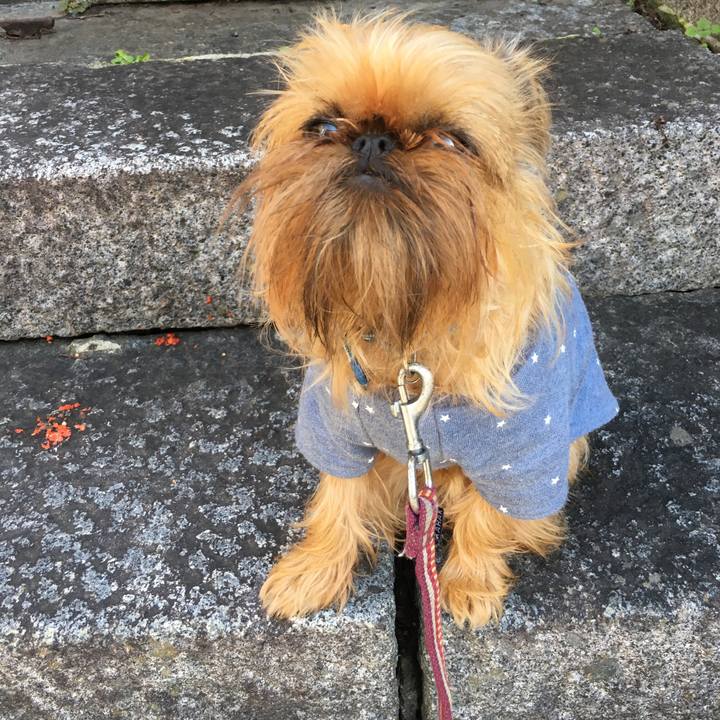 Ae8eb913 0d6e 4a6c 9719 fcd0bd4bd3e8