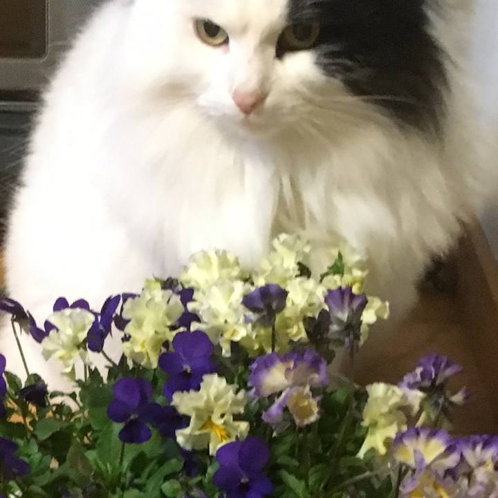 Ae8ef3c4 fc19 4637 a591 70fe2c2513ab