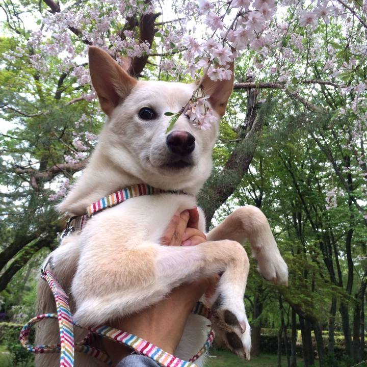 Ae8f3bd7 ef0f 470a bcf7 68bcdd67843e