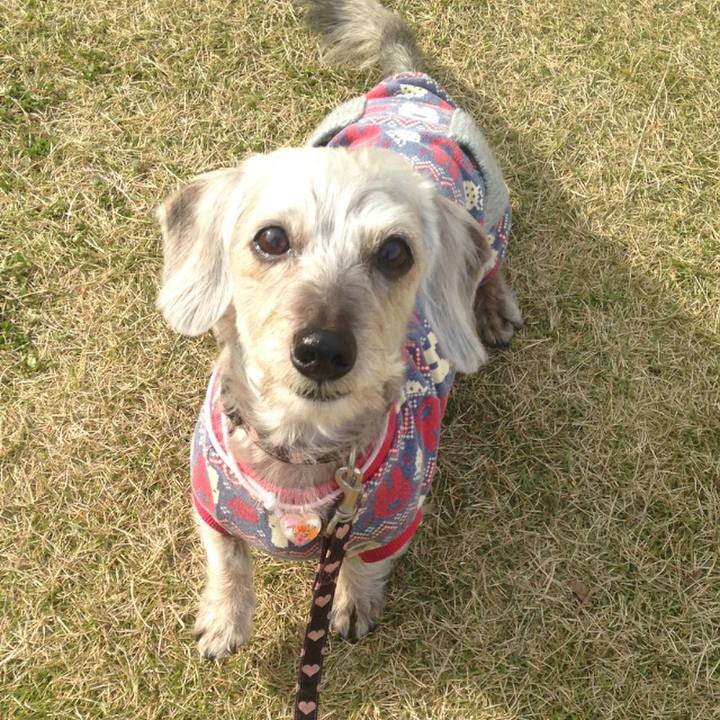 Ae8f678b 6aee 40e4 b2c8 45f3d69d03bb