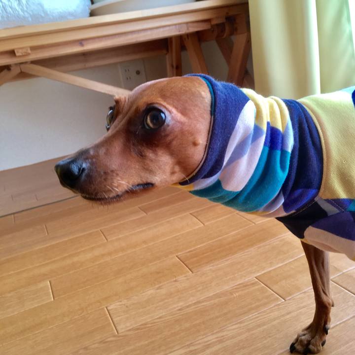 Ae908b42 bd53 4585 955a 456bc08da178