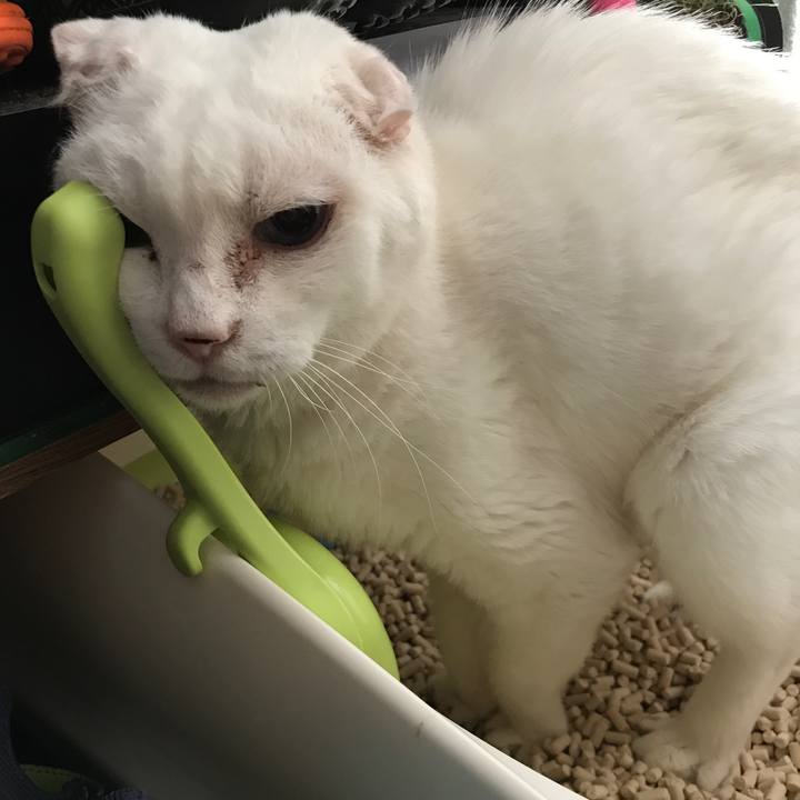 Ae9107fc 4447 4edf aca4 0b5cba4ba3db