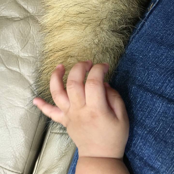 Ae912a6f 74ad 4528 a83b a14dfc9f9c91