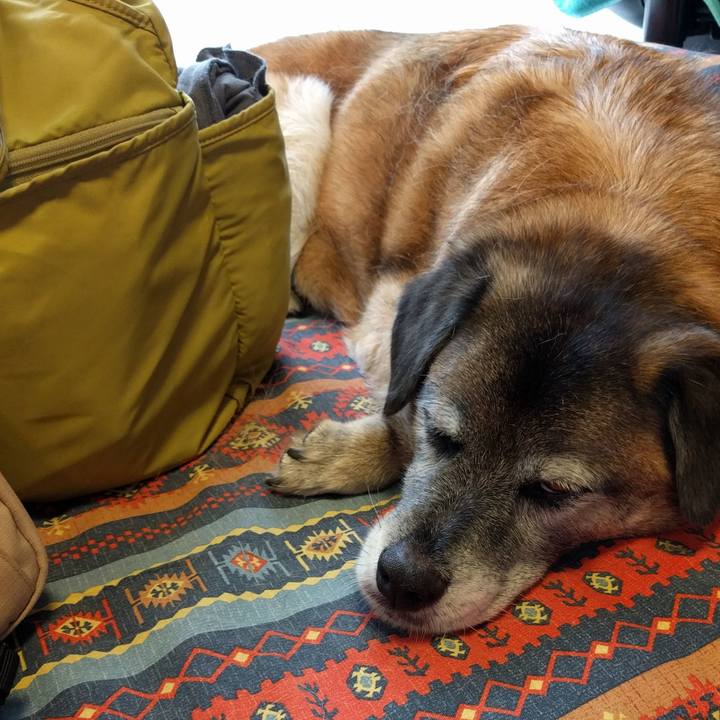 Ae913251 c747 472e 891f 1e86629a6641