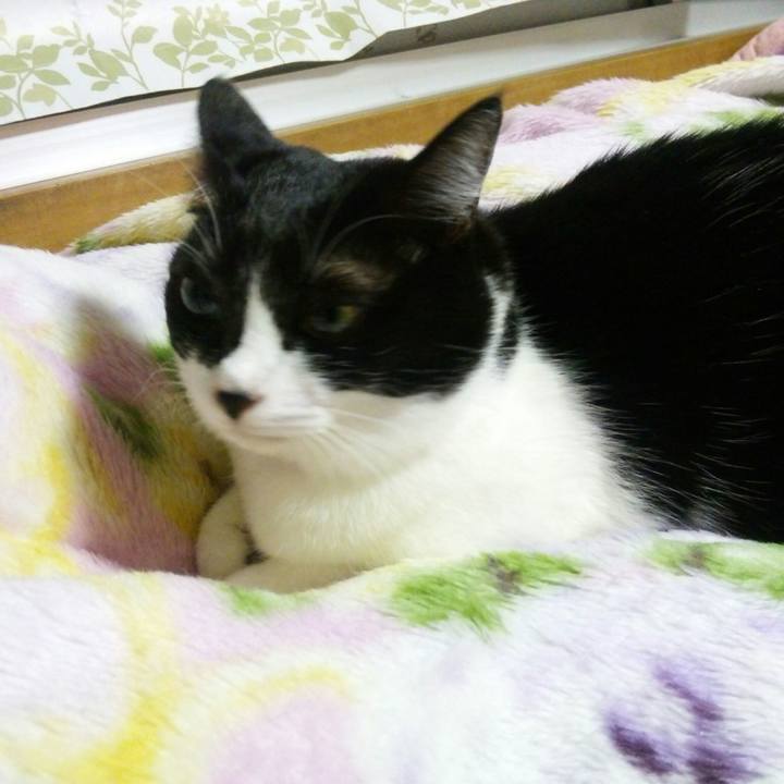 Ae913e8d be3a 4e21 b1d2 c3832a4a62fc