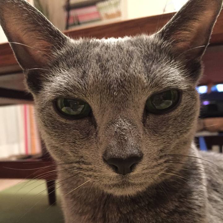 Ae918cd2 08e6 487d 945c c7da169447bb