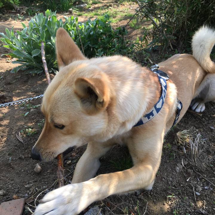 Ae91bb1e 9be7 4d32 ae6e 966ee460b577