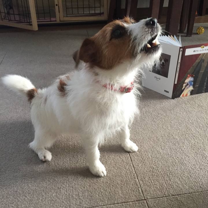 Ae920f90 b516 4801 821e f505da586ba6