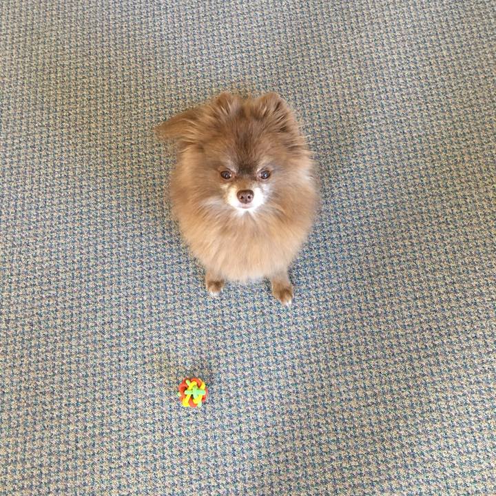 Ae929e9b f201 4766 8a58 b44e3078878f