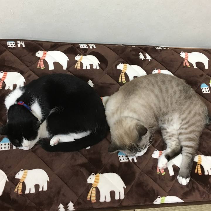 Ae92f14d 2f3d 4b90 9a7f c04e56080c40