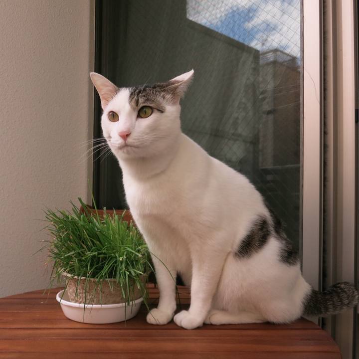 Ae9339c5 51e1 4939 af62 3040452814aa