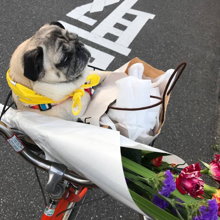 Ae935b9f 6845 42ff 8433 1a498575f683