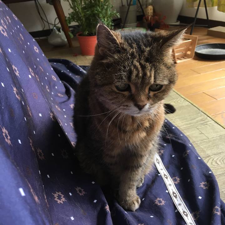 Ae93622d c9f9 459f bb53 c1ff979bb703