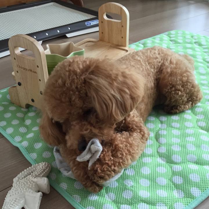 Ae94f517 b4ae 4cf7 b451 e25a9652b12a