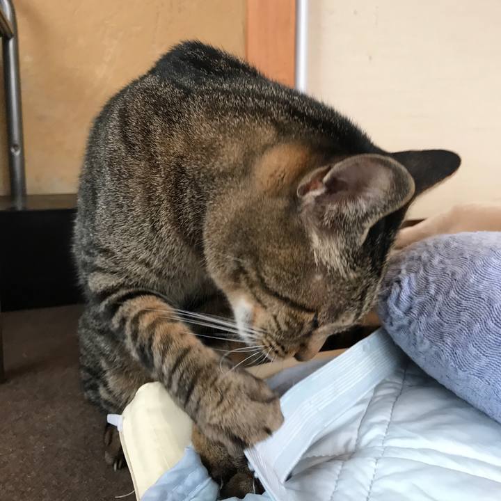 Ae959d7c 268f 4984 a150 3e8d343cdb3b