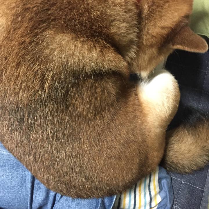 Ae95fe74 51a7 4371 99c6 e2ca2d58197b