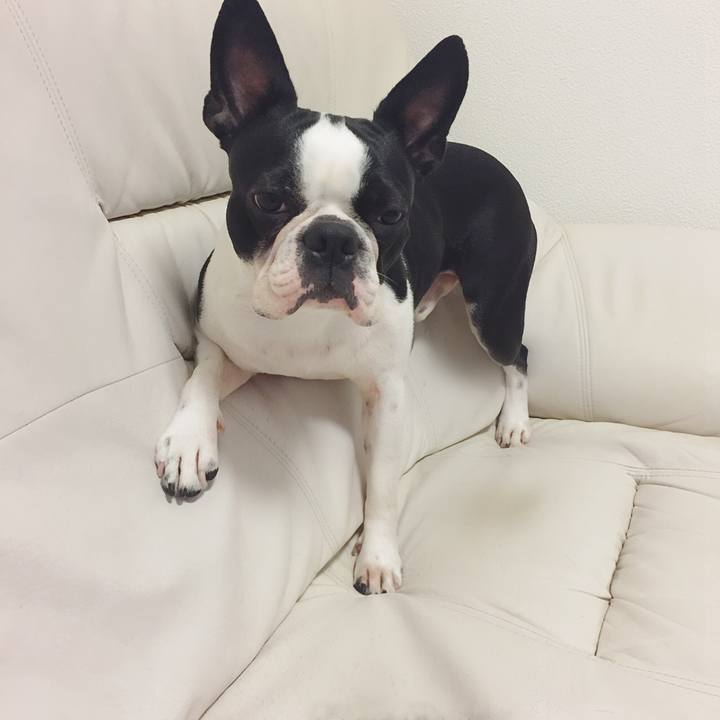 Ae964cc4 1002 425f aefc ea477103198c