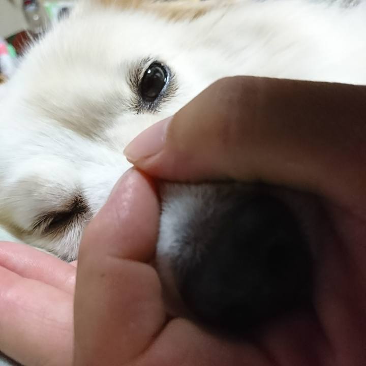 Ae97c9a5 3b7f 417d 8b7f bbfbe238433f