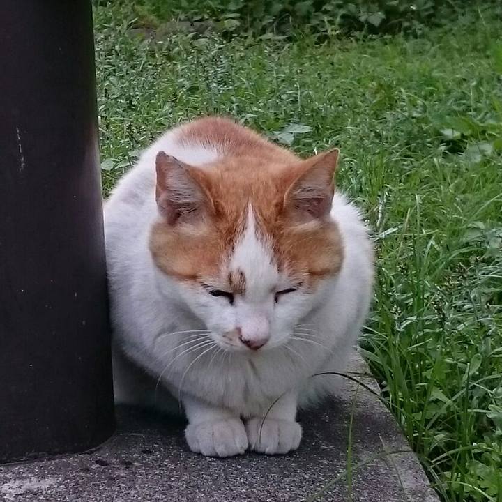 Ae97df45 ad29 4492 bc8c 37cf48ccbec6