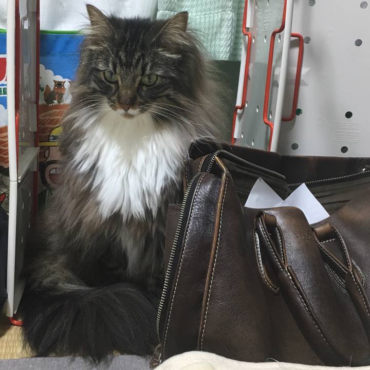 Ae97ef20 f2e7 44d9 ac2f ccd56f66bb5b