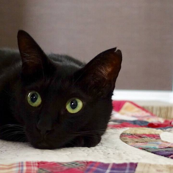 Ae9808c6 ad31 497e a0b1 167c78ed1350