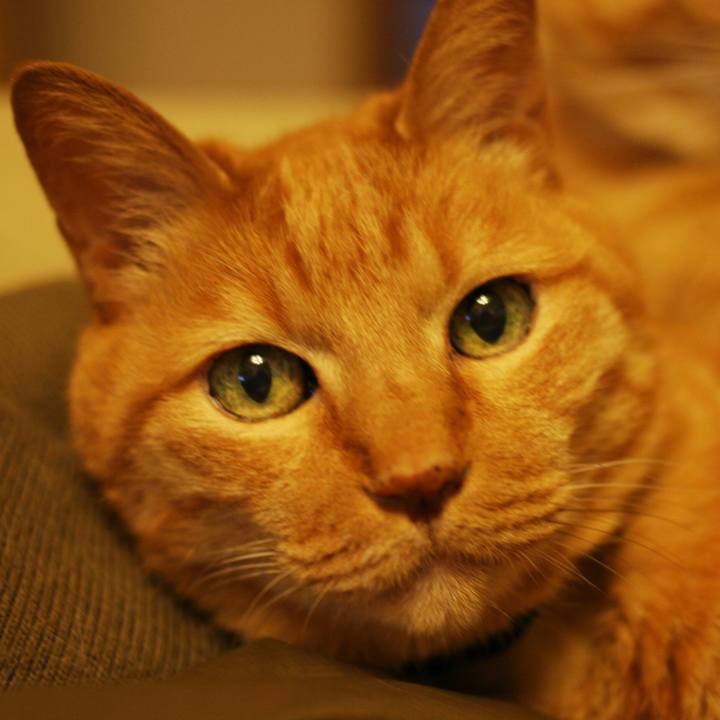 Ae9898e4 50b8 4221 8f61 fd091a0051e4