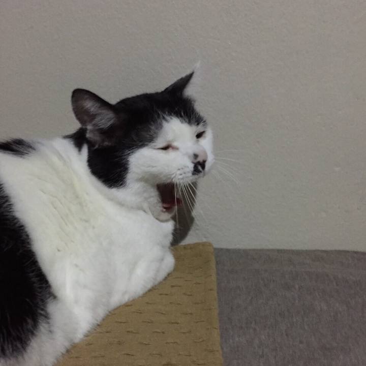 Ae98aaef 796a 4108 9400 5d071b9ad380