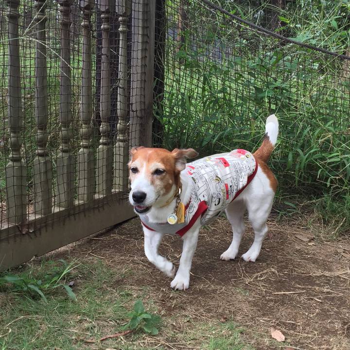 Ae98ade3 e2ce 4d38 9945 9093e37c475f