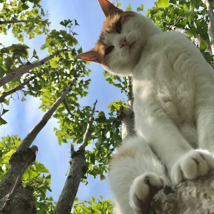 Ae98e2eb 120a 4fc8 b938 8d5675d3568c