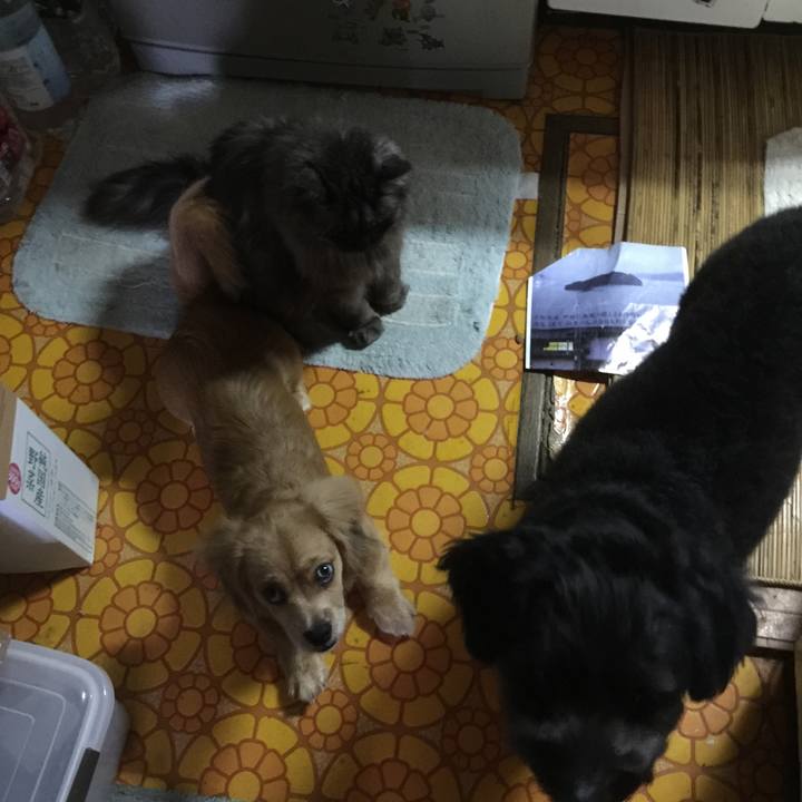 Ae995d70 b4fe 46d9 a065 d757748fe6a1