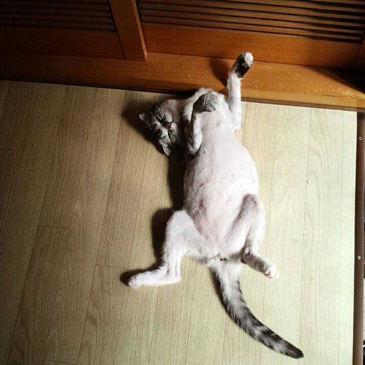 Ae995da3 1a0b 40bd 8c8a 335547bfb026