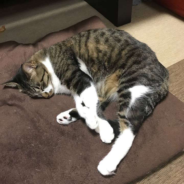 Ae9a0ea8 5bcd 4f7d 8fc5 962fbb7720c8