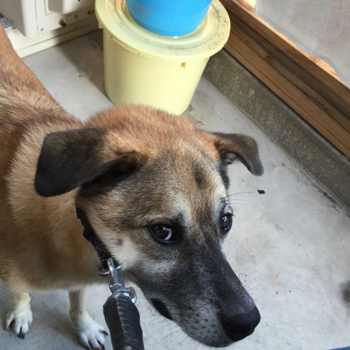 Ae9a26d1 da92 4833 b308 6d341ed832bc