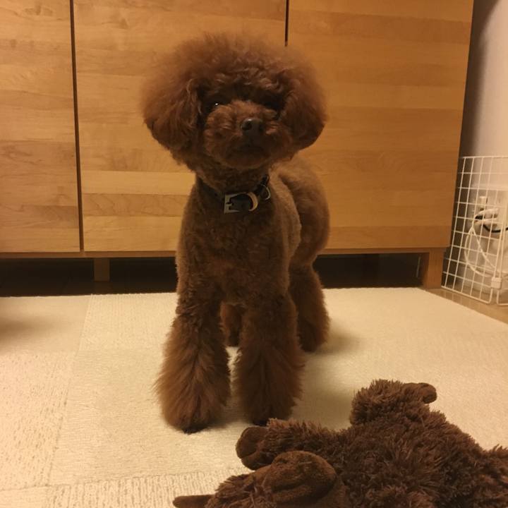 Ae9a7a34 75aa 44f6 94d7 5a121faf4aa6