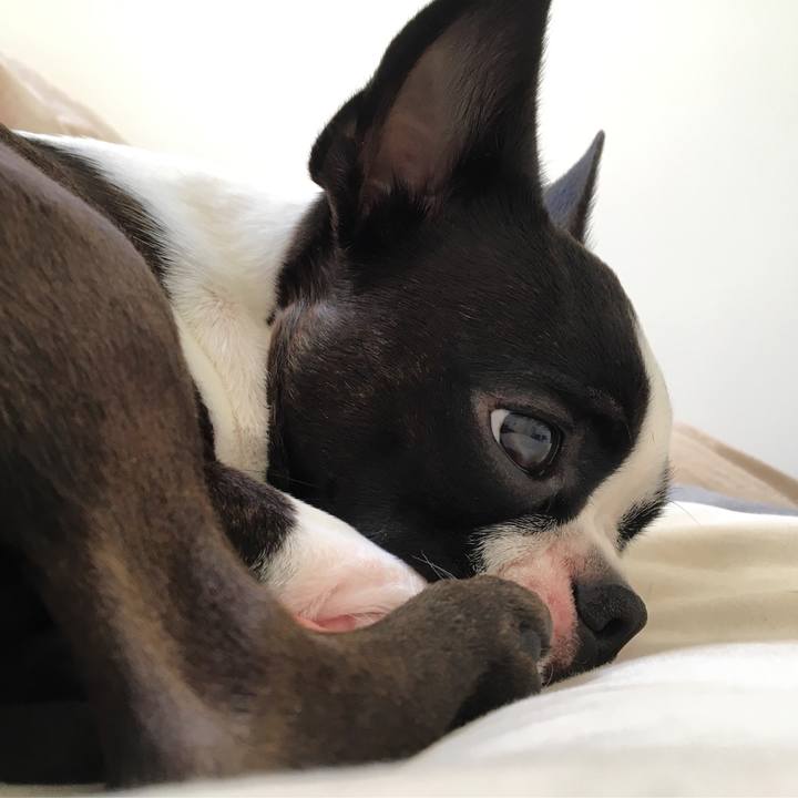 Ae9b3815 e073 4d7e 9f8a 991098f7e4b3