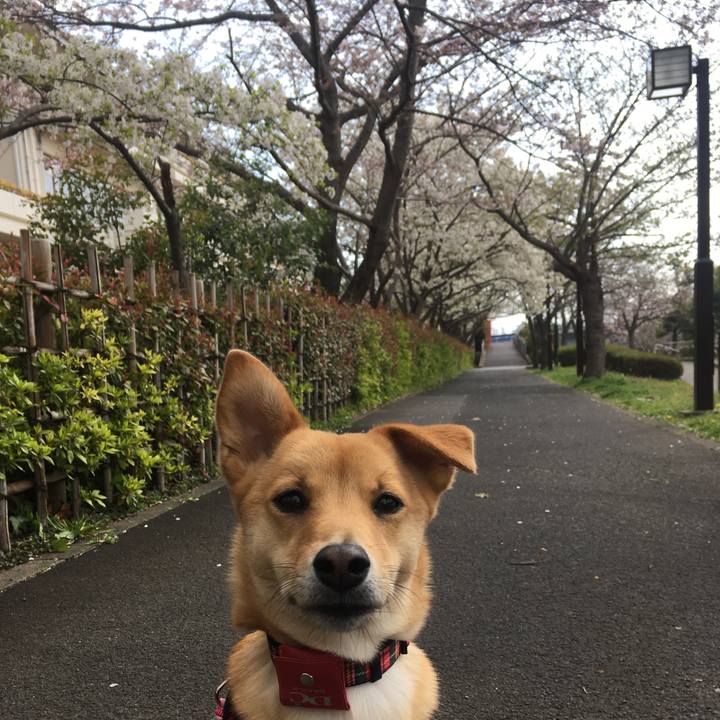 Ae9c24a4 5060 498b a127 586f2563cf8e