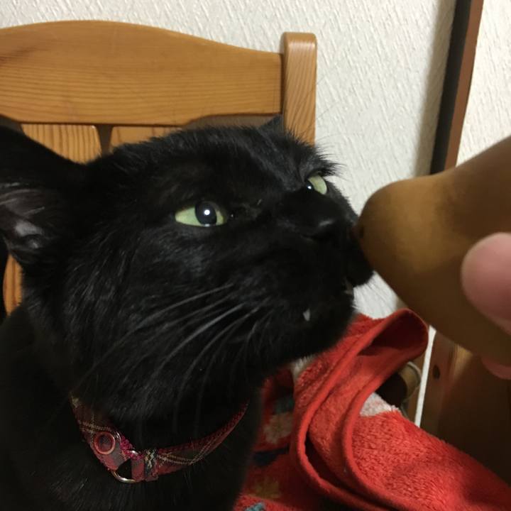 Ae9c5c36 d48c 4c3f a37b 35625189631d