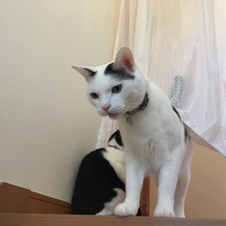 Ae9da5cb 9808 4362 8cb8 09b21aa918ba