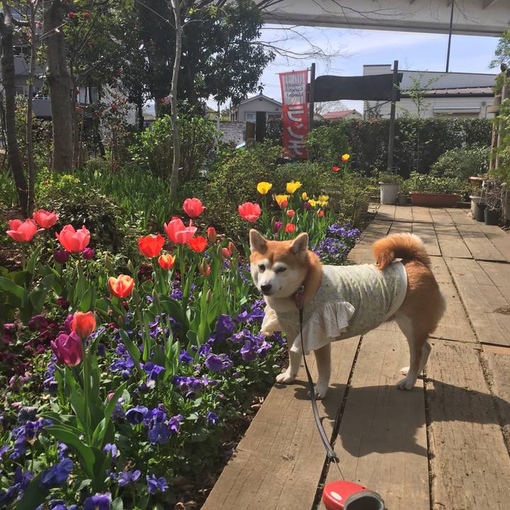 Ae9dea08 3d21 4b35 b690 149cdfe98c40