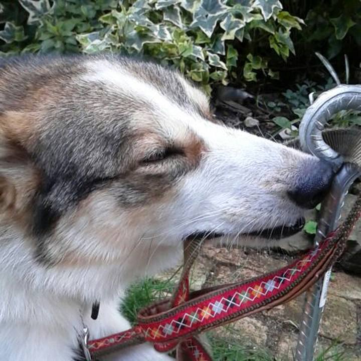 Ae9e1a72 5475 4c0e 9fe0 82292a5d1d19