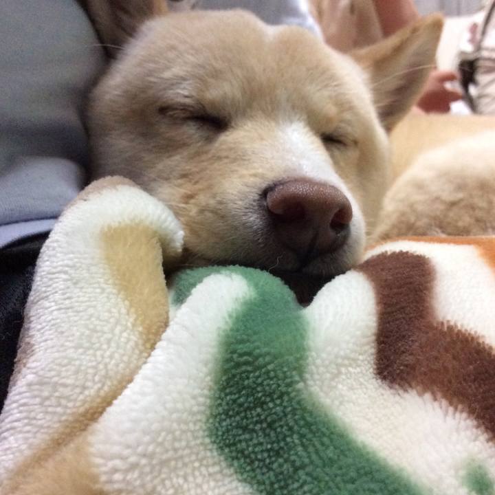 Ae9fe89f b064 4e51 99de 8b65250b9b84